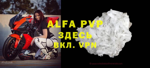 ешки Пересвет