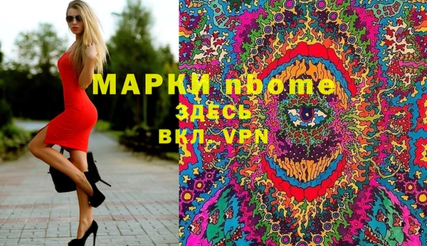 прущие грибы Волоколамск